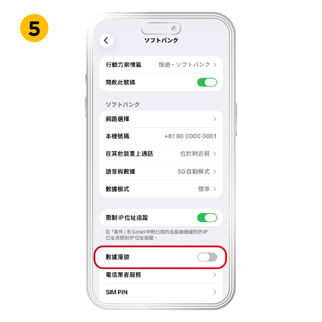 iOS 啟用方式，步驟 5：依方案需求開啟「數據漫遊」。